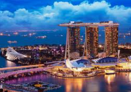 旺财28.ccpc29APP正式版